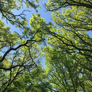 Meet your Posher, Lolo